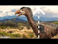 1 Iconic Extinct Bird From All 7 Continents Around The World