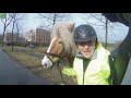 Scooterdriver helps woman catch her runaway horse