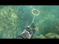 Preparation for SPEARFISHING Competition | Shark encounter