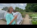 Private Garden Tour Of The Timbrook Guesthouse ✨|| Visit Our Garden