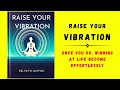 Raise Your Vibration: Once You Do, Winning at Life Becomes Effortlessly (Audiobook)