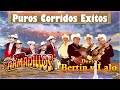 Dueto Los Armadillos, Dueto Bertin y Lalo - Puros Corridos Exitos - Corridos y Rancheras