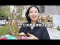 美國大學教授上課中結巴，台灣人的特徵