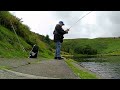 247. Trout Flies Guaranteed to Catch Fish - Fly Fishing UK