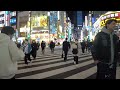 Exploring Tokyo's alleys at night with a camera – 4K POV