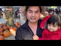Cuộc Sống Mỹ #165| Đức Tiến đưa con gái đi chơi Halloween ở  vườn bí ngô lớn nhất California