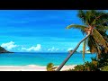 Mega Hits 2024 🎵 The Best Of Relaxing Beats Music Mix 2024 🎵 Tropical Paradise Music Mix 2024 #12