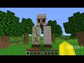 Never SPAWN THIS CURSED GOLEMS in Minecraft ! NEW STRANGEST GOLEM SPAWN !