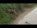 mancing ikan wader atau /beunteur di bekas galian sawah (micro fishing)