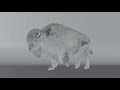 Blender 3D Animal | CGI Breakdown | Male Bison | VFX GRACE
