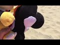 DG: black yoshi bowser jr. And the giant sand mountain.