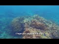 [4K] Snorkeling at Merlin Beach, Phuket 🇹🇭 Thailand: Discovering the vibrant marine life