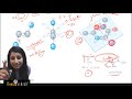 Rank Booster 2 -Dihedral|Torsion|Conformational Angle| Ramachandran Plot - part I |Biochemistry|