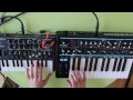 Arturia MicroBrute VS Novation Bass Station II