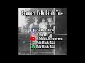 Folk Bitch Trio Live Radio National - Interview + Performance