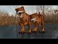 Tyrannosaurus rex vs. Spinosaurus 3D Animation LEGO