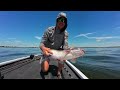 Jug Fishing Deep Summer Blue Catfish ( Catch & Cook )