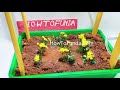 new innovative ideas in agriculture working model | inspire award science project | howtofunda