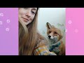 Woman Brings Home A Baby Fox. Now He's Her Everything | Cuddle Buddies