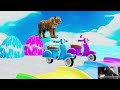 Long Slide Game With Elephant Gorilla Buffalo Hippopotamus Tiger - 3d Animal Game - Funny 3d Animals