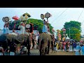 Trissur Pooram elephant 2024 😍 തൃശ്ശൂർ പൂരം ആന 2024 ❤️