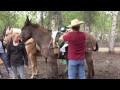 pack horse tutorial