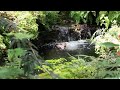 A Relaxing Stream & Waterfall - with Calming Music