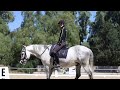 Lateral Work for a Hot, Tense Horse