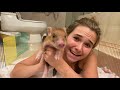 RESCUED 5 DAY OLD ANIMAL! I CAN'T BELIEVE THEY WERE GOING TO DO THIS...