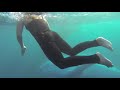 Underwater Love - Swimming with Humpback Whales. Gold Coast. INCREDIBLE