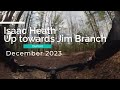 MTB Trails of DuPont State Recreational Forest (December 2023)