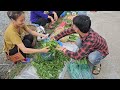 Harvesting Wild Vegetables In The Forest Go To Market, Couple Cooking Simple Dishes- Lý Thị Nhâm