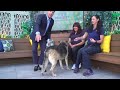 Chula Vista Animal Services 101st Adoption ‘Pawty’