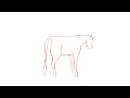short horse animation