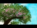 Speedpaint Collection- Beach View, Sunset, Rainbow Tree