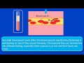 What Hematocrit Tells You About Your Health (Hematology)