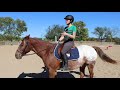 How To Ride The Canter (EASY STEP-BY-STEP GUIDE)