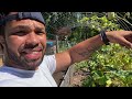 ADDING 225 SQUARE FEET to the GARDEN / perfect weather to VLOG #garden #grow #growingspace