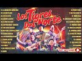 LOS TIGRES DEL NORTE MIX EXITOS ALBUM COMPLETO - PUROS CORRIDOS MIX MUSICA 2024 LO MAS ENAMORADO