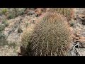 Exploring Hole in the Wall at Mojave National Preserve