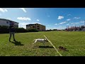 Jay Jay The Bull Terrier - FETCH - SLO-MO