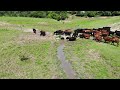 Stuyvesant Brook - Marsh farm, Rt 21