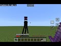 Me VS Enderman