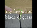 Ambient Music - My favourite blade of grass week 1