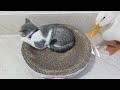 Try Not To Laugh😺🐶Funniest Cats and Dogs 2024😼Part 8