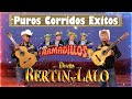 Dueto Bertin y Lalo, Dueto Los Armadillos - Las Mejores Guitarras Del Rancho - 20 Exitos Music 2023