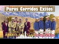 Dueto Bertin y Lalo, Los Armadillos De La Sierra - Corridos y Rancheras - Puros Corridos Exitos