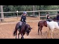 @EmmaEquine raws for u reacting to my ridinggggggggg