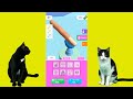 Hair Challenge pero gato vs perro jugando con gatitos Luna y Estrella / Videos de animales graciosos
