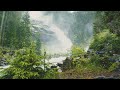 Nature Relaxation Film - Meditation Relaxing Music 🌼🌺 cuckoo, blackbird. 3 Hours of video relaxing